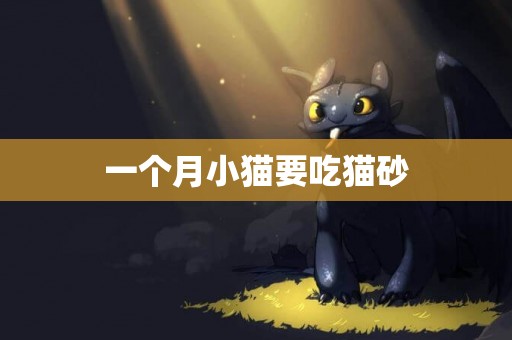 一個月小貓要吃貓砂