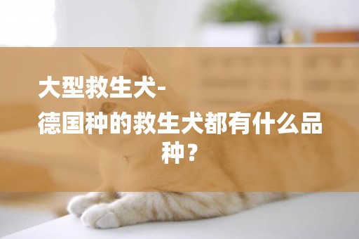 大型救生犬-
德國種的救生犬都有什么品種？