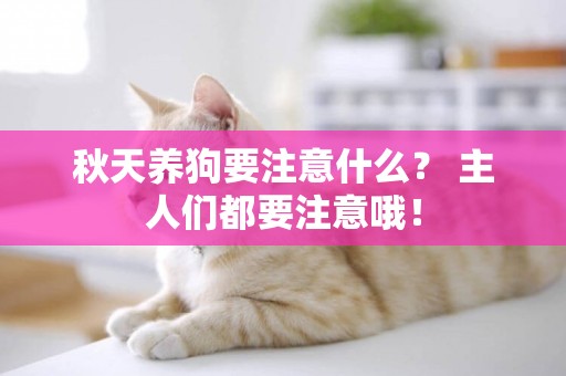 秋天養狗要注意什么？ 主人們都要注意哦！
