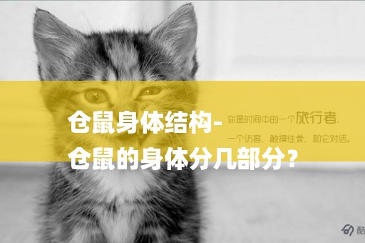 倉鼠身體結構-
倉鼠的身體分幾部分？