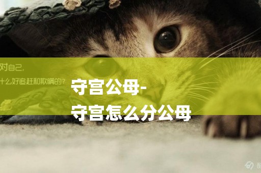 守宮公母-
守宮怎么分公母