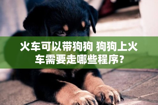 火車可以帶狗狗 狗狗上火車需要走哪些程序？