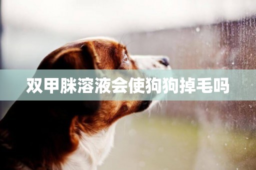 雙甲脒溶液會使狗狗掉毛嗎