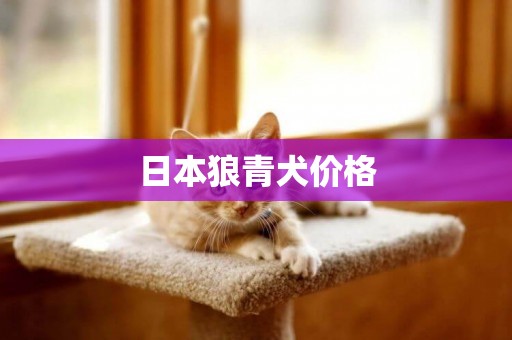 日本狼青犬價格