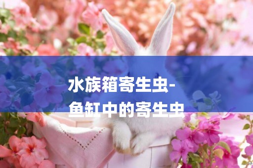水族箱寄生蟲-
魚缸中的寄生蟲