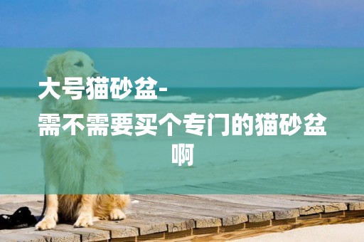 大號貓砂盆-
需不需要買個專門的貓砂盆啊