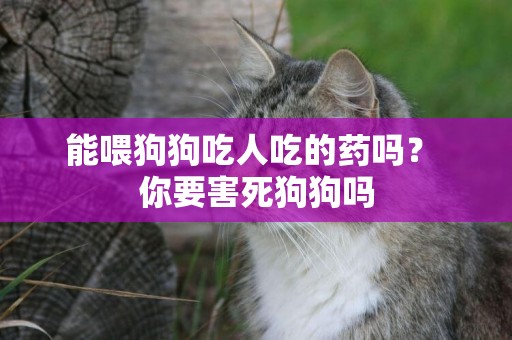 能喂狗狗吃人吃的藥嗎？ 你要害死狗狗嗎