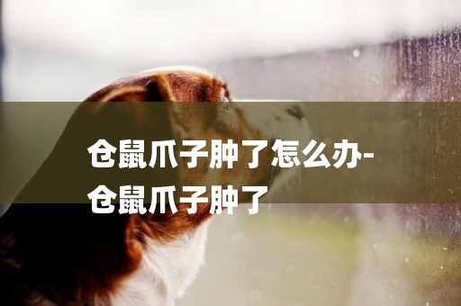 倉鼠爪子腫了怎么辦-
倉鼠爪子腫了