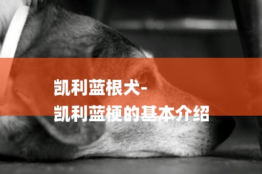 凱利藍根犬-
凱利藍梗的基本介紹