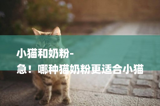 小貓和奶粉-
急！哪種貓奶粉更適合小貓
