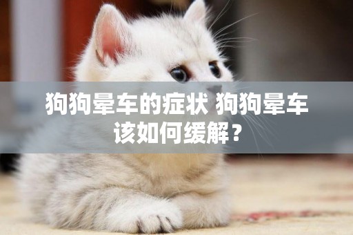 狗狗暈車的癥狀 狗狗暈車該如何緩解？