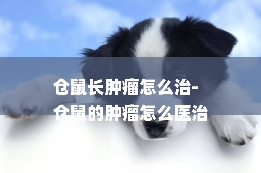 倉鼠長腫瘤怎么治-
倉鼠的腫瘤怎么醫治