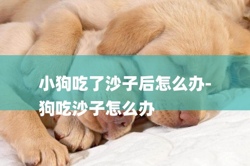 小狗吃了沙子后怎么辦-
狗吃沙子怎么辦