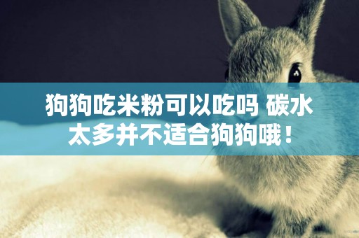 狗狗吃米粉可以吃嗎 碳水太多并不適合狗狗哦！
