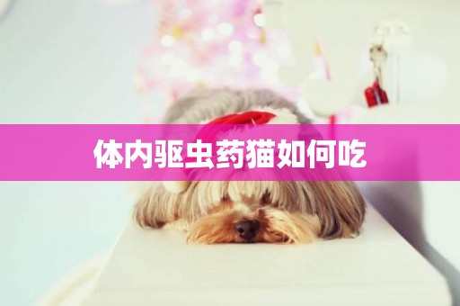 體內驅蟲藥貓如何吃
