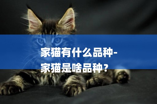 家貓有什么品種-
家貓是啥品種？