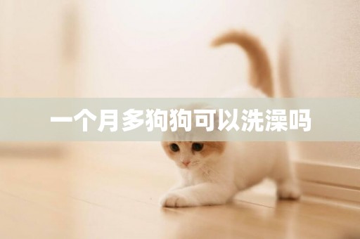 一個月多狗狗可以洗澡嗎