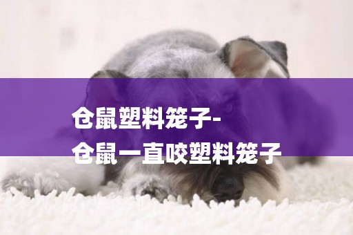 倉鼠塑料籠子-
倉鼠一直咬塑料籠子