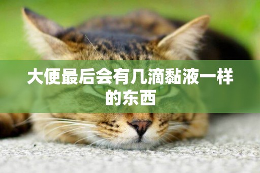 大便最后會有幾滴黏液一樣的東西