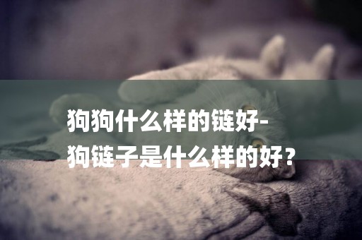狗狗什么樣的鏈好-
狗鏈子是什么樣的好？
