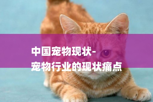中國寵物現狀-
寵物行業的現狀痛點