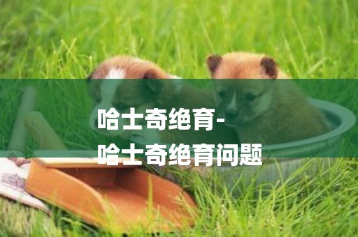 哈士奇絕育-
哈士奇絕育問題