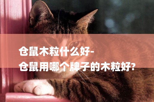 倉鼠木粒什么好-
倉鼠用哪個牌子的木粒好?