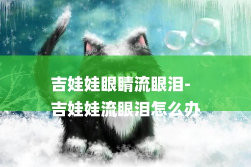 吉娃娃眼睛流眼淚-
吉娃娃流眼淚怎么辦