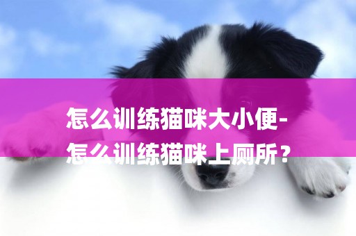 怎么訓練貓咪大小便-
怎么訓練貓咪上廁所？