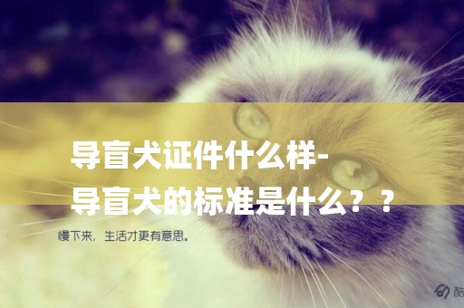 導盲犬證件什么樣-
導盲犬的標準是什么？？