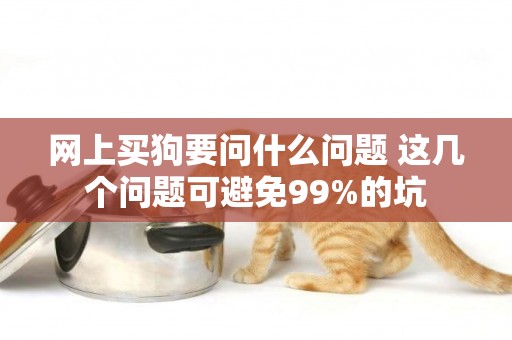 網上買狗要問什么問題 這幾個問題可避免99%的坑