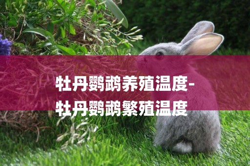 牡丹鸚鵡養殖溫度-
牡丹鸚鵡繁殖溫度