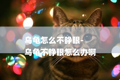 烏龜怎么不睜眼-
烏龜不睜眼怎么辦啊