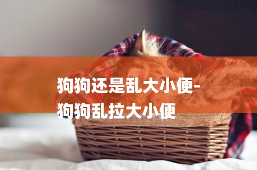 狗狗還是亂大小便-
狗狗亂拉大小便
