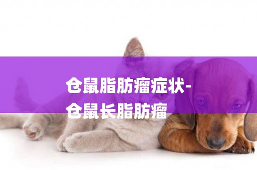 倉鼠脂肪瘤癥狀-
倉鼠長脂肪瘤