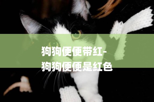 狗狗便便帶紅-
狗狗便便是紅色