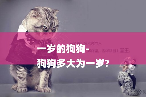 一歲的狗狗-
狗狗多大為一歲?