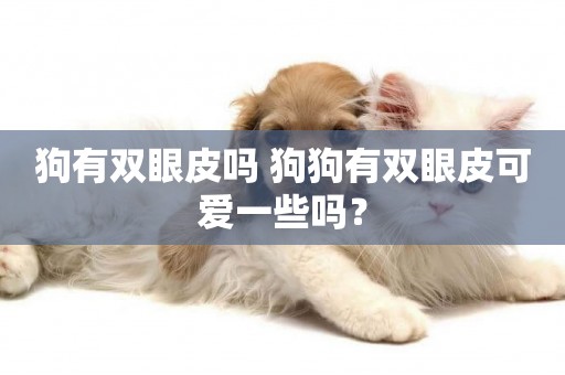 狗有雙眼皮嗎 狗狗有雙眼皮可愛一些嗎？