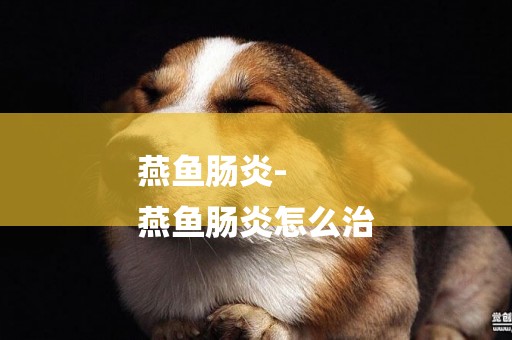 燕魚腸炎-
燕魚腸炎怎么治
