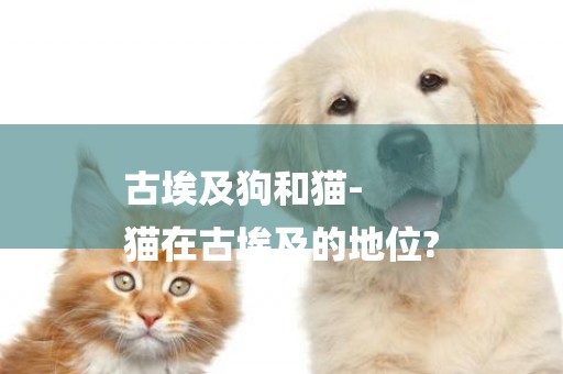 古埃及狗和貓-
貓在古埃及的地位?