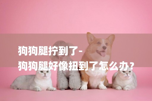 狗狗腿擰到了-
狗狗腿好像扭到了怎么辦？