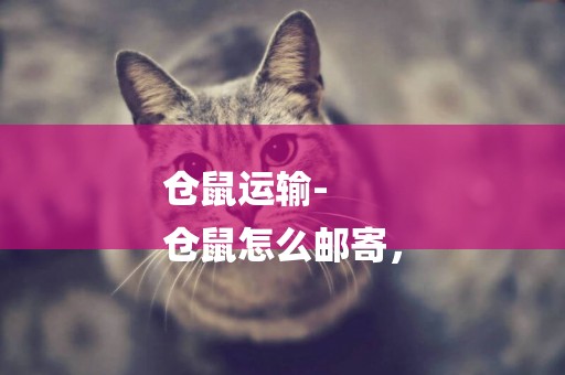 倉鼠運輸-
倉鼠怎么郵寄，