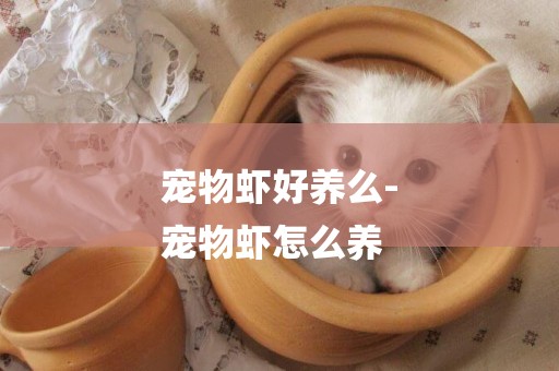 寵物蝦好養么-
寵物蝦怎么養