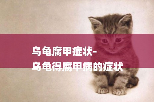 烏龜腐甲癥狀-
烏龜得腐甲病的癥狀
