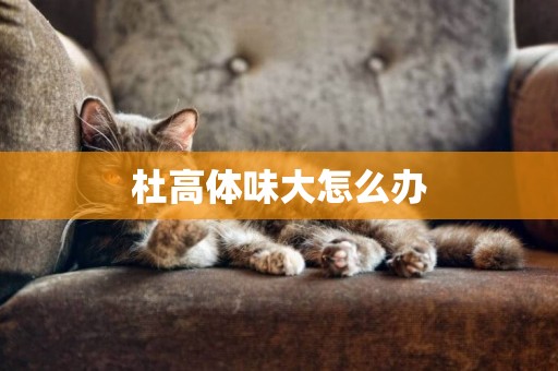 杜高體味大怎么辦
