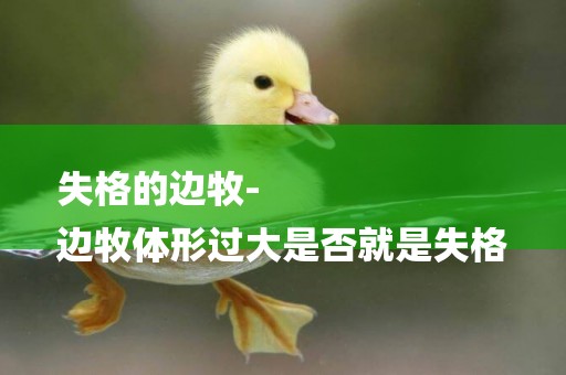 失格的邊牧-
邊牧體形過大是否就是失格
