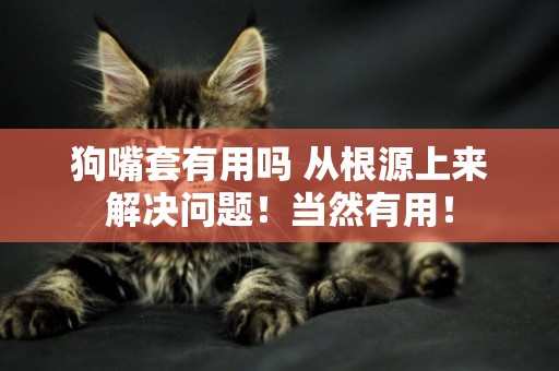 狗嘴套有用嗎 從根源上來解決問題！當然有用！