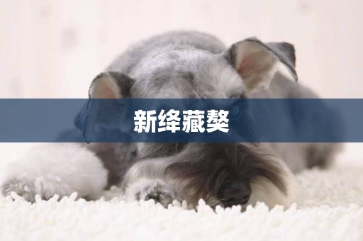 新絳藏獒