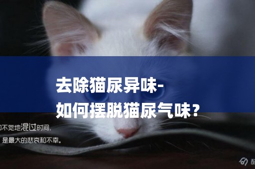 去除貓尿異味-
如何擺脫貓尿氣味？