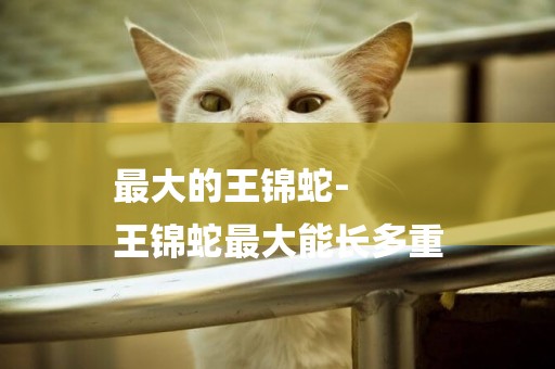 最大的王錦蛇-
王錦蛇最大能長多重